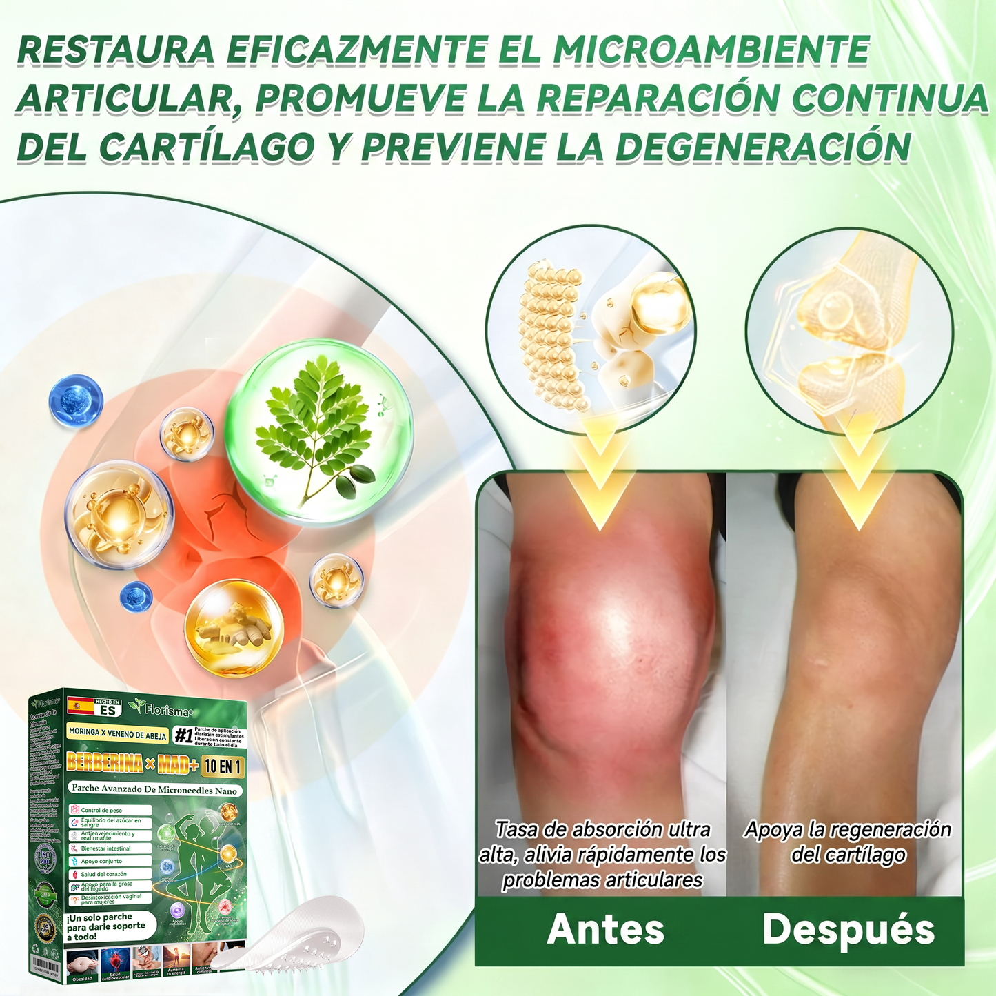 𝑇𝑖𝑒𝑛𝑑𝑎 𝑜𝑓𝑖𝑐𝑖𝑎𝑙 𝑑𝑒 𝐸𝑠𝑝𝑎ñ𝑎 🇪🇸  | 🧑‍⚕️🍉 𝐅𝐥𝐨𝐫𝐢𝐬𝐦𝐚® 𝑴𝒐𝒓𝒊𝒏𝒈𝒂 𝑩𝒆𝒓𝒃𝒆𝒓𝒊𝒏𝒂 10 𝑬𝒏 1 𝑷𝒂𝒓𝒄𝒉𝒆 𝑨𝒗𝒂𝒏𝒛𝒂𝒅𝒐 𝑫𝒆 𝑴𝒊𝒄𝒓𝒐𝒏𝒆𝒆𝒅𝒍𝒆𝒔 𝑵𝒂𝒏𝒐